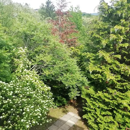 View *