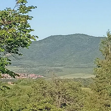 Apartment View